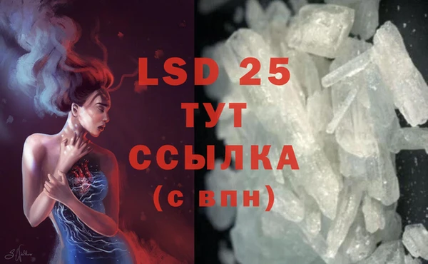 PSILOCYBIN Мегион