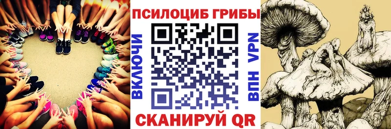 магазин продажи наркотиков  darknet официальный сайт  Галлюциногенные грибы GOLDEN TEACHER  Одинцово 
